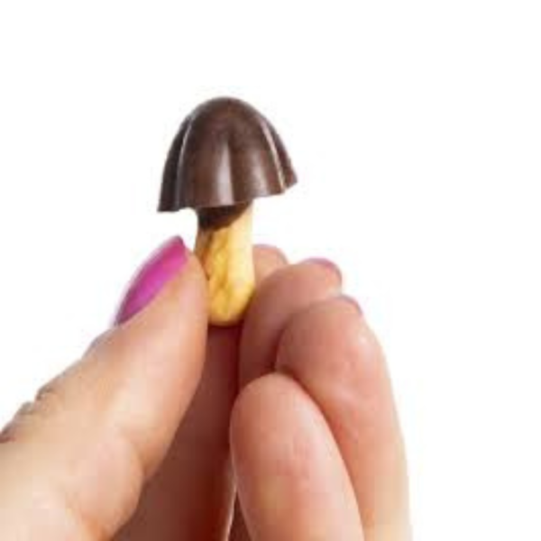 Chocorooms Chocolate Mushroom Shaped Cookies (Just for Fun) - Image 2
