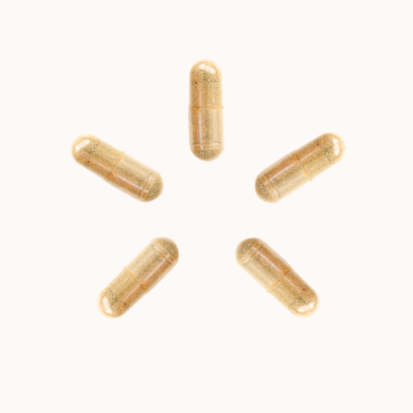GM Microdose Sample 5 Count