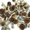 PE - Whole - Image 3
