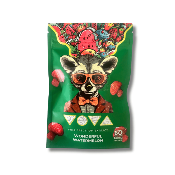 6g VOVA Mushroom Gummies - Wonderful Watermelon