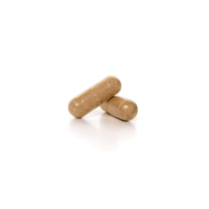 0.4g/100mg - Fusion Capsule - Samples (2-Pack)
