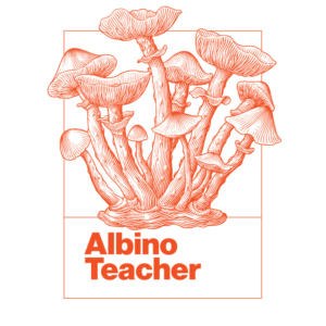 1/8 Albino Teacher - Freeze Dried