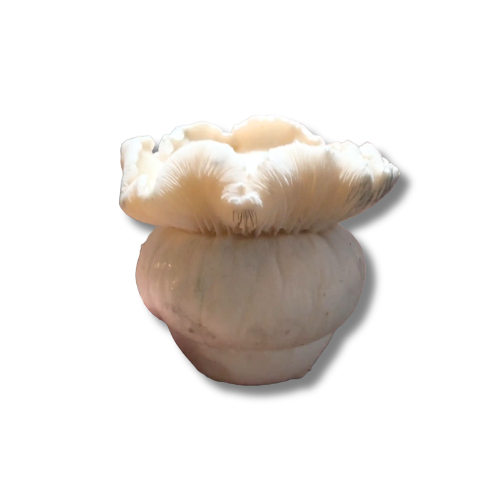 Bluey Vuitton - Whole - 1/8