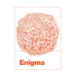 1/8 Enigma - Freeze Dried