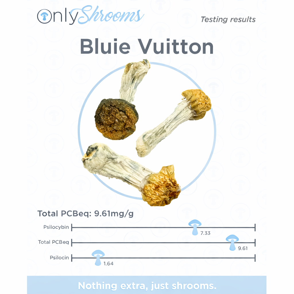 1/8 Bluey Vuitton - Image 2