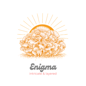 Enigma