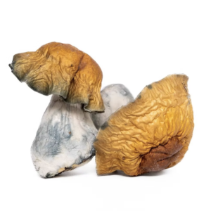 Yak - Whole
